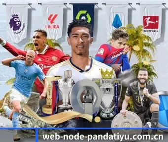 web-node-pandatiyu.com.cn APP